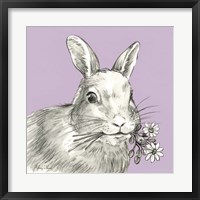 Rabbit Fine Art Print