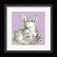 Rabbit Framed Print