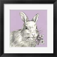 Rabbit Framed Print