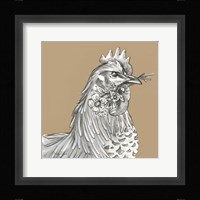 Rooster Framed Print
