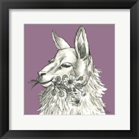 Llama Framed Print