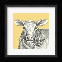 Cow 2 Framed Print