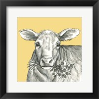 Cow 2 Framed Print