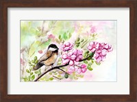 Spring Chickadee and Apple Blossoms Fine Art Print