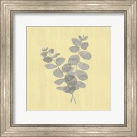 Natural Inspiration Eucalyptus Gray & Yellow I Fine Art Print
