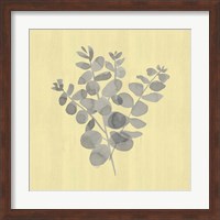 Natural Inspiration Eucalyptus Gray & Yellow II Fine Art Print