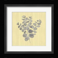Natural Inspiration Eucalyptus Gray & Yellow II Framed Print