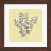 Natural Inspiration Eucalyptus Gray & Yellow II Fine Art Print