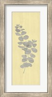 Natural Inspiration Eucalyptus Panel Gray & Yellow II Fine Art Print