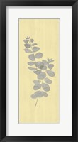 Natural Inspiration Eucalyptus Panel Gray & Yellow II Framed Print