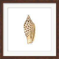 Oceanum Shells White II-Junonia Fine Art Print