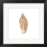 Oceanum Shells White II-Junonia Framed Print