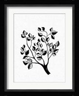 Climb Fine Art Print