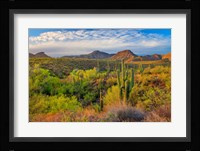 Jewel Evening Fine Art Print