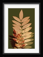 Fall Leaves 2 Framed Print