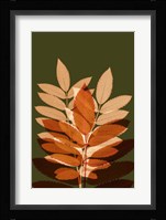 Fall Leaves 4 Framed Print