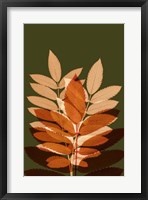 Fall Leaves 4 Framed Print