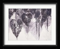 Bean Tree Fine Art Print