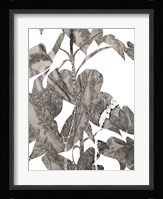 Losarim Fine Art Print