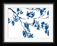 Magnolia Fine Art Print