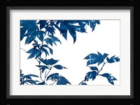 Quercifolia Fine Art Print