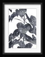 Urbana Fine Art Print