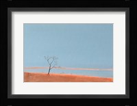 Last Rays of The Sun Fine Art Print