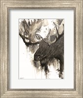 Bull Moose Fine Art Print
