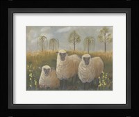 Three Sheep Fine Art Print
