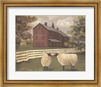 Hancock Sheep Fine Art Print