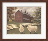 Hancock Sheep Fine Art Print