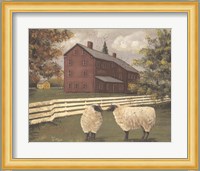 Hancock Sheep Fine Art Print