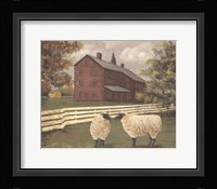 Hancock Sheep Fine Art Print