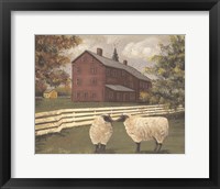 Hancock Sheep Fine Art Print