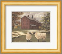 Hancock Sheep Fine Art Print