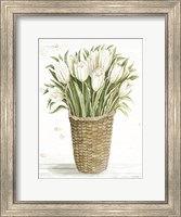 Tulip Basket Fine Art Print