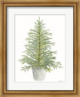 Spruce Tree in Pot Fine Art Print