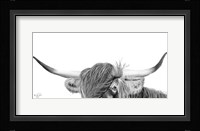 Peek-a-boo Highland Fine Art Print