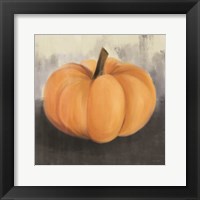 Orange Rustic Pumpkin Framed Print