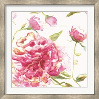 English Rose Fine Art Print