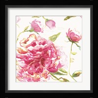 English Rose Fine Art Print