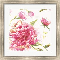 English Rose Fine Art Print