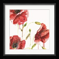 Poppies Fine Art Print