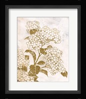 Brass Beauty 1 Fine Art Print