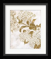 Brass Beauty 2 Framed Print