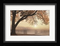 Golden Moments Fine Art Print