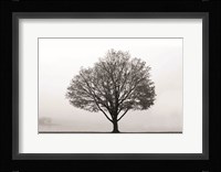 Flying Solo Fine Art Print