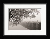 Don't Be Afraid Fine Art Print