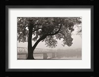 Move On Fine Art Print