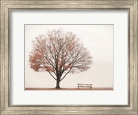 Barely There Fine Art Print